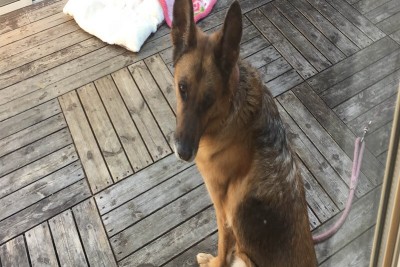 実の和