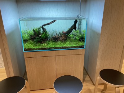めぐらす瑞穂公園