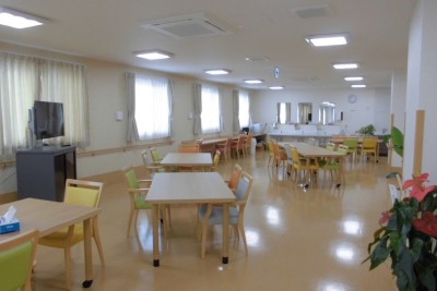 百彩（ももいろ）